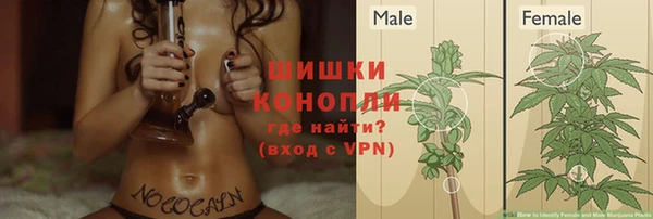 гидропоника Балахна