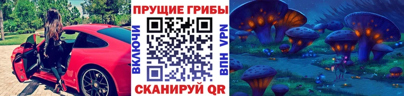 где купить наркотик  кракен как зайти  Галлюциногенные грибы Cubensis  Красный Кут 
